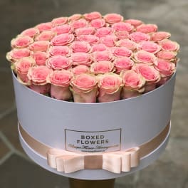 Signature matte white box with 50 roses