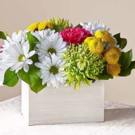 Mixed bouquet of white daisies, yellow mums, and pink flowers in a white box