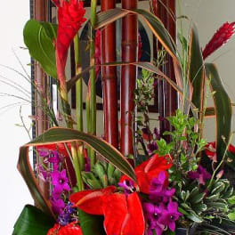 Tropical floral arrangement with red and purple blooms in a dark vase