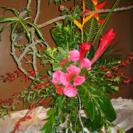 Tall tropical floral arrangement with pink blooms and red-orange heliconia