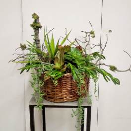 Succulent arrangement in a wicker basket with branches and trailing greenery