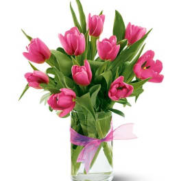 Pink tulips in a clear glass vase with a pink ribbon