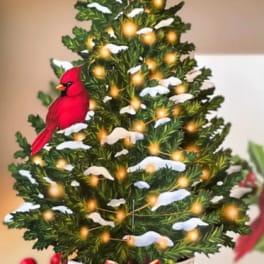 Mini Christmas tree in a birch-look container with a red bow and cardinal ornament