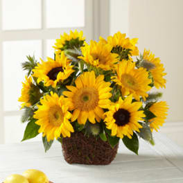 Sunflower arrangement in a brown basket on a table