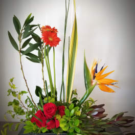 Tropical floral arrangement with red roses, orange gerberas, and bird of paradise