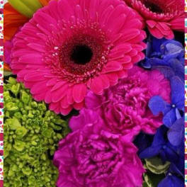 Bright mixed bouquet with pink gerbera daisies and purple flowers