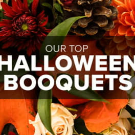 Orange and cream bouquet with roses and mums, overlaid with Halloween text