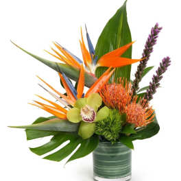 Tropical arrangement with birds of paradise, protea, orchid, and large leaves in a glass cylinder vase