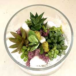 Succulent arrangement in a round glass bowl with white stones