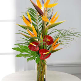 Tropical arrangement with bird of paradise and red anthuriums in a clear vase