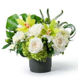 Low white and green arrangement with roses, green hydrangea, and orchids in a dark round pot.