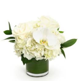 Low white rose, hydrangea, and orchid arrangement in a clear glass cylinder vase.