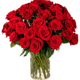 Large arrangement of long-stem red roses in a clear glass cylinder vase