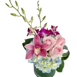 Compact arrangement of pink roses, orchids, and blue hydrangea in a clear cylinder vase