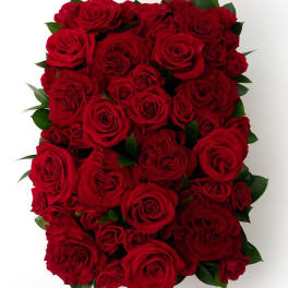 Rectangular arrangement of densely packed red roses viewed from above