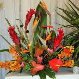 Tall tropical arrangement with red ginger, orange orchids, birds of paradise and red anthuriums
