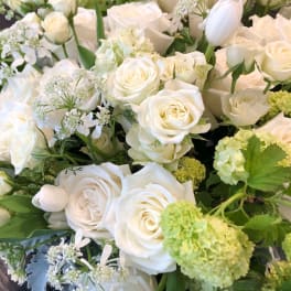 White roses and pale green hydrangeas in a dense bouquet