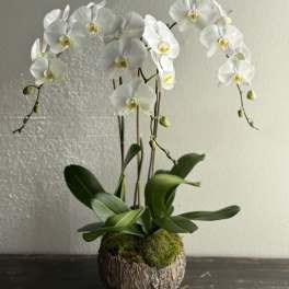 Mother's Day Arrangement #3