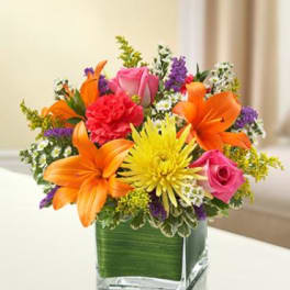 In my Thoughts - Multicolor Bright