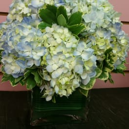 Hydrangea Bouquet