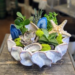 Succulent arrangement in a shell-shaped ceramic bowl with seashell accents