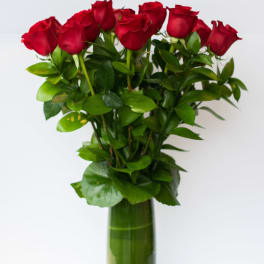 Red roses arranged in a tall glass vase