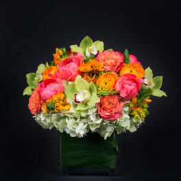 Bright mixed flower arrangement in a square glass vase