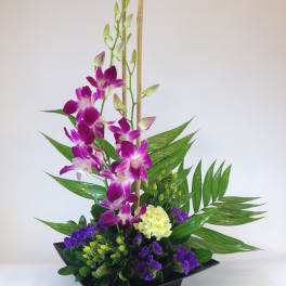 Purple orchids arranged in a black square vase with green foliage