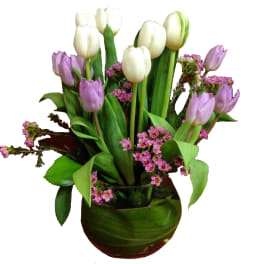 White and lavender tulips arranged in a green vase with small pink filler flowers