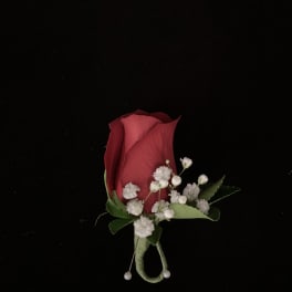 Red rose boutonniere with white baby's breath on a black background