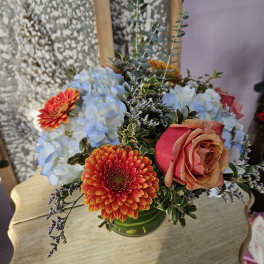 Low arrangement of orange gerbera, peach rose, and blue hydrangeas in a clear glass vase.