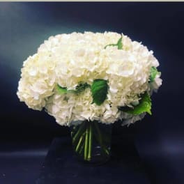 White hydrangea bouquet in a glass vase