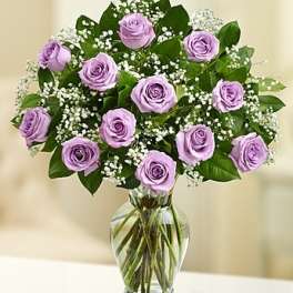 Rose Elegance Premium Long Stem Purple Roses