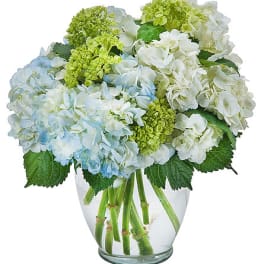 Blue and white hydrangea bouquet in a clear glass vase