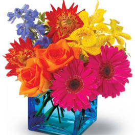 Bright mixed arrangement of pink gerbera daisies, orange roses, and other blooms in a blue glass cube vase