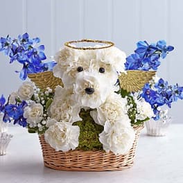 White floral dog arrangement in a wicker basket with blue flowers and gold wings