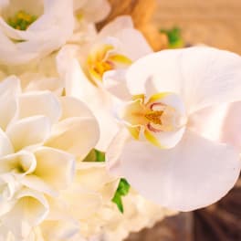 White orchid and dahlia bouquet in warm light