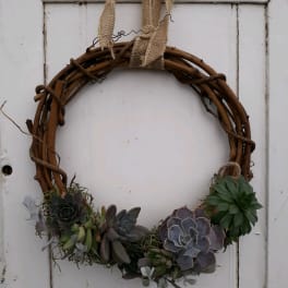 Succulent wreath on a twig ring with burlap hanging ribbon
