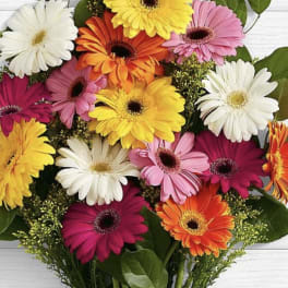 Bouquet of colorful gerbera daisies with green leaves
