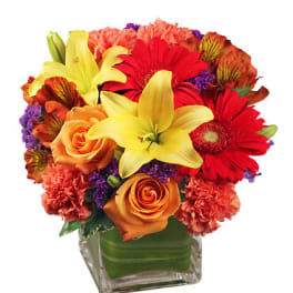 BRIGHT BEFORE YOUR EYES FLOWER ARRANGEMENT