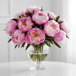 Pink peonies arranged in a clear glass vase