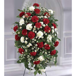 Standing spray of red and white carnations with small white filler flowers