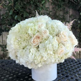 White hydrangea and blush rose arrangement in a white vase