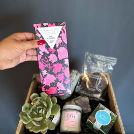 Gift basket with a succulent, chocolates, a candle, and candy