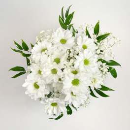 White daisy bouquet with green centers and small filler flowers