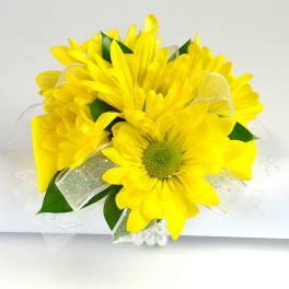 Bright yellow daisy bouquet with ribbon and clear wrap