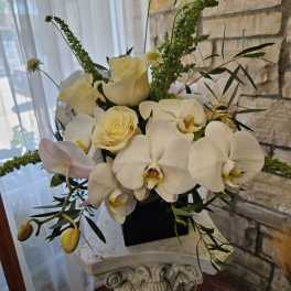 White orchids and cream roses arranged in a black vase