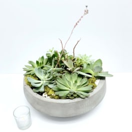 Succulent arrangement in a round concrete bowl with a small glass votive nearby