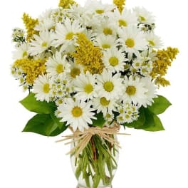 Bouquet of white daisies and yellow filler flowers in a glass vase