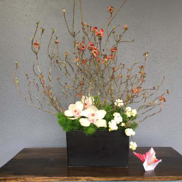 Orchid arrangement in a black rectangular container with branching stems